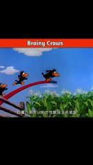 Brainy Crows