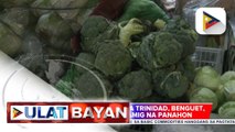 Presyo ng gulay sa  La Trinidad, Benguet, apektado ng malamig na panahon; D.A., patuloy ang pagbabantay sa mga pananim sa Baguio City