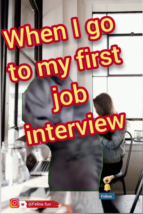 Funny cat videos 😂