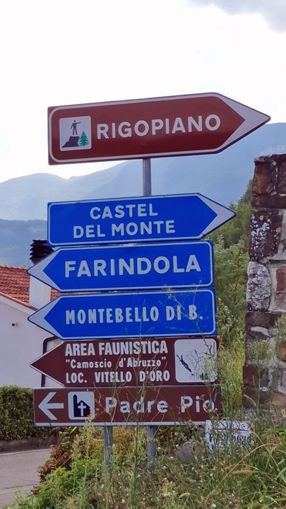 Il disastro raccontato sui social: i messaggi dalla gioia alla paura testo