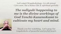 The naliyuki is the divine workings of God Tenchi-KanenoKami to cultivate my spirit. 11-28-2024