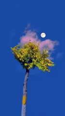 The beautiful sunset view