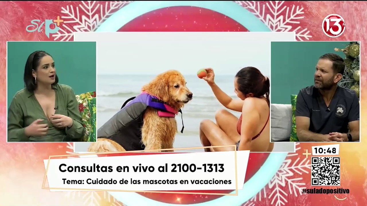 Entrevista - Cuidados de las mascotas en vacaciones