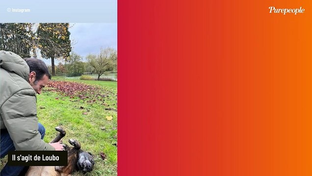 C'est tout ce qui reste vivant de lui : Anthony Delon évoque son père Alain et ce membre du clan qui lui permet de surmonter son chagrin