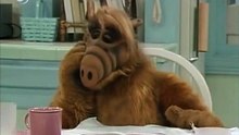 ALF 02x26, Universitaria de Primera