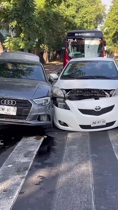 Esto sucedió en la avenida Agustín Yáñez y Chapultepec Sur