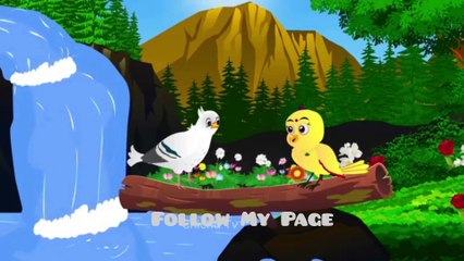 Part 1 New Episode Kauwi Or Kauwi Barish Ma Pareshan Tuni Chidiya Cartoon | Hindi Cartoon Kahaniyan