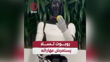روبوت تسلا يستعرض مهاراته
