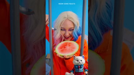 Bad Watermelon Prank 😹🍉