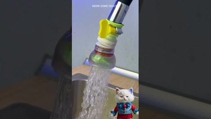 Cool Gadgets! 😻 Smart Kitchen Gadgets 🌟#shorts