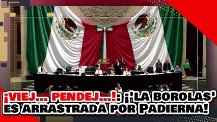 ¡Viej… pendej…!: ¡ la esposa del borolas recibe brutal arrastrada de Padierna por defender a FECAL!