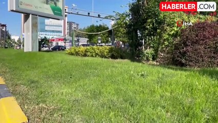 İskenderun'da Çimlere Basma Tartışması