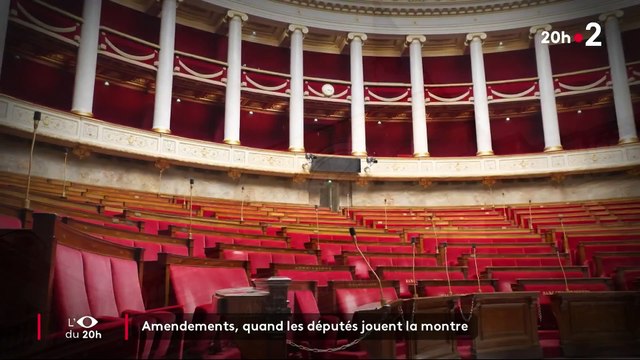 Pour empêcher l'abrogation de la retraite à 64 ans, macronistes et LR ont déposé des centaines d'amendements contre le texte de LFI