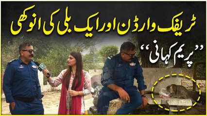 Traffic Warden aur aik billi ki anokhi ‘Prem kahani’