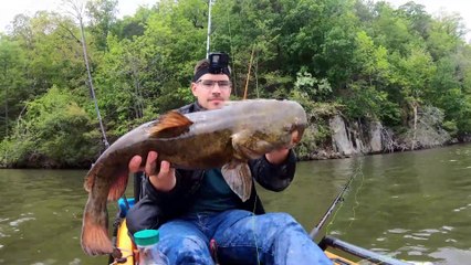 CATFISH MAYHEM DRIFTING WITH CUT BAIT!!! BITE ON FIRE!!!!