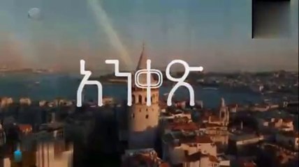 Ankes 36_2024-11-28_21-58-06