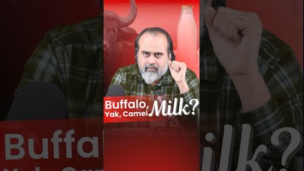 Buffalo, Yak, Camel Milk  Acharya Prashant