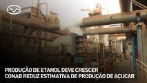 Produção de etanol deve crescer e CONAB reduz estimativa de produção de açucar