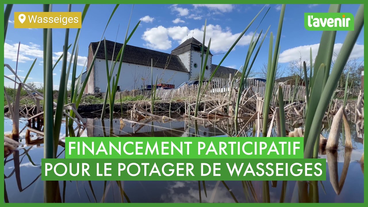 Potager à Wasseiges