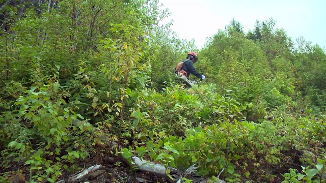 28 NOV TOPO MS lutte chômage travailleurs saisonniers