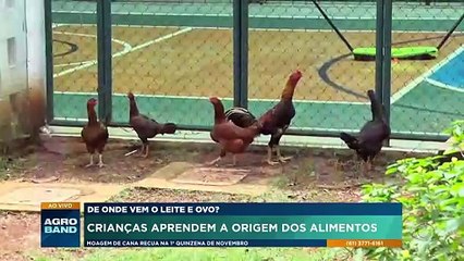 Crianças aprendem a origem dos alimentos