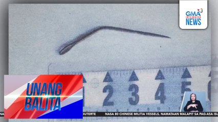 Babaeng senior citizen, patay matapos saksakin gamit ang karayom; suspek na dati niyang trabahador, ipinaaaresto | Unang Balita