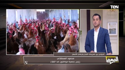 رئيس جمعية مواطنون ضد الغلاء: تحويل منافذ بيع الدواجن الحية لمجمدة سيكون صحياً أكثر