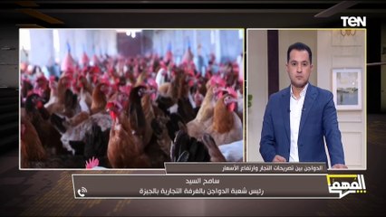 الدواجن بين تصريحات التجار وارتفاع الأسعار؟.. المهم يكشف الحقيقة