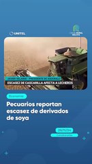 Pecuarios reportan escasez de derivados de soya