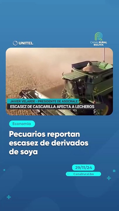 Pecuarios reportan escasez de derivados de soya
