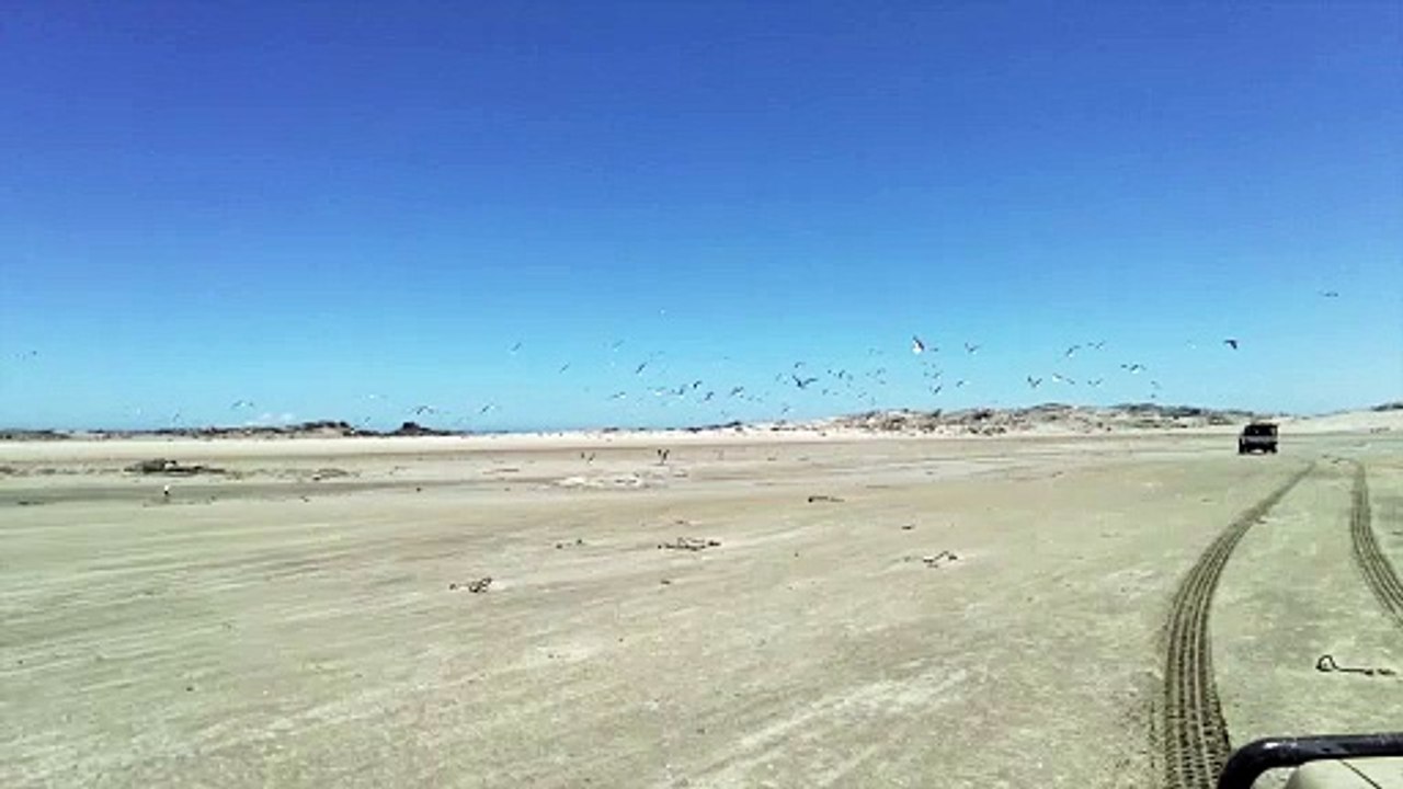 Die Groot Niks | show | 2022 | Official Trailer