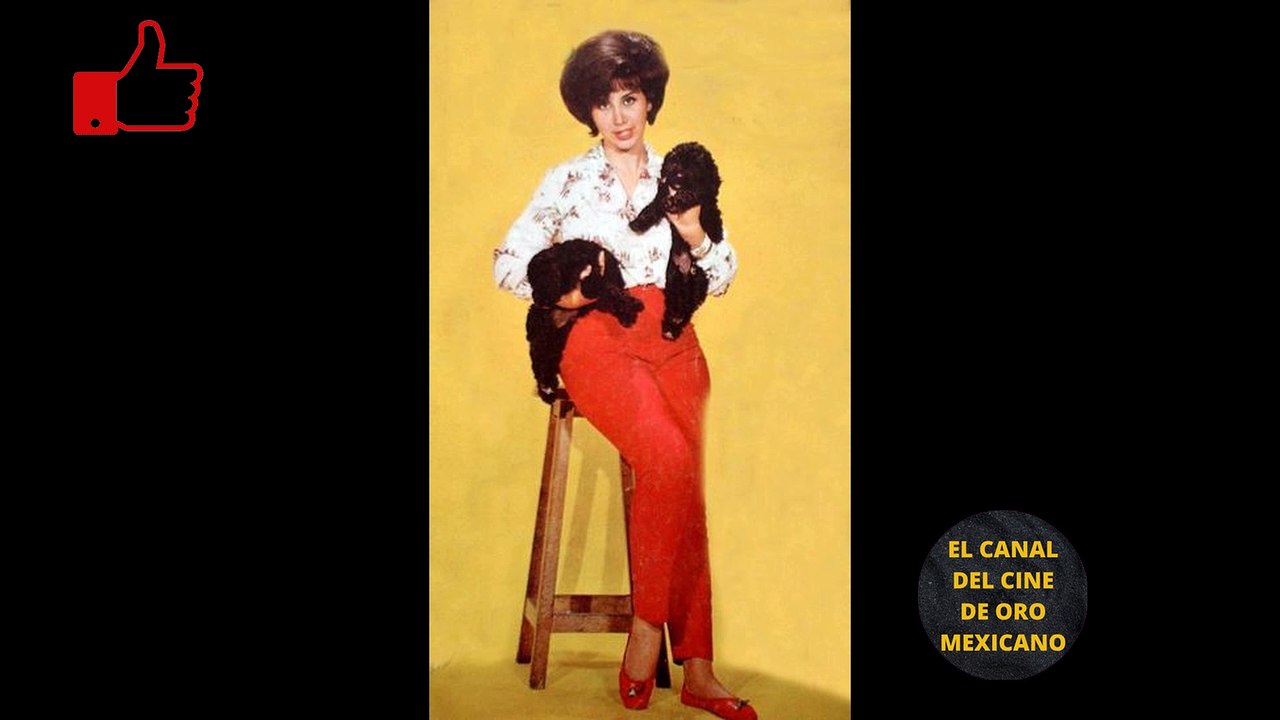 01875CCM La Chica Ye Ye de los 60 inició como secretaria terminó con Blue Demon y Los Polivoces