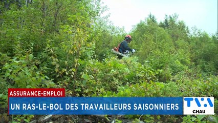TVA Nouvelles CHAU 18h 28 novembre 2024