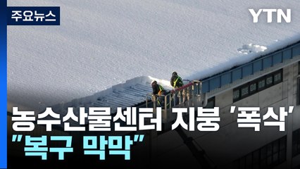 폭설에 농수산물센터 지붕 '폭삭'..."복구 막막" / YTN