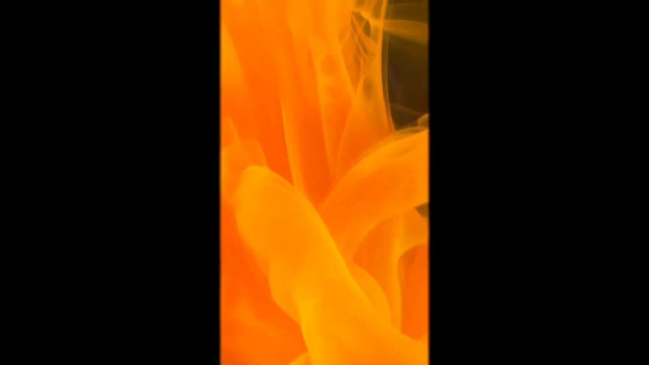 Pirates of the Caribbean theme music playing with a keyboard //rhythm revolution