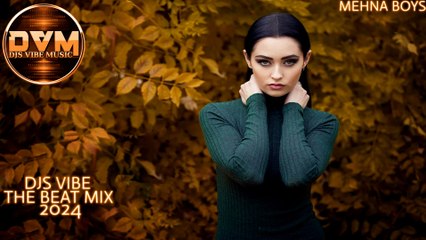 Djs Vibe - The Beat Mix 2024 (Mehna Boys)