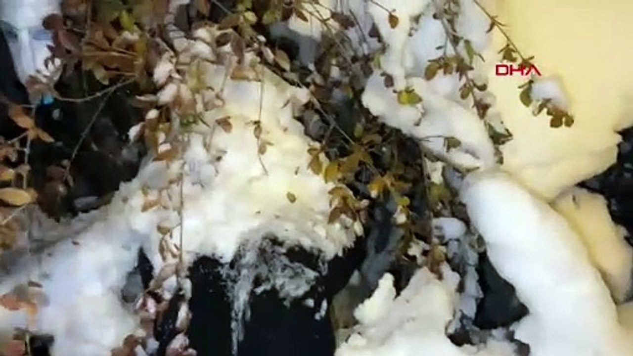 Polis kadın cinayeti ihbarı için gitmişti, gerçek bambaşka çıktı