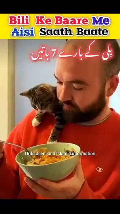 Islam mein Billi ke Bare mein yeh 7 baaten _islam _islamicstatus _facts _shorts _animals _cat(360P)