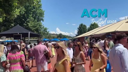 Wodonga Gold Cup 2024: Sunshine & Excitement ☀️