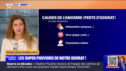 Les "super-pouvoirs" de notre odorat sur nos capacités cognitives
