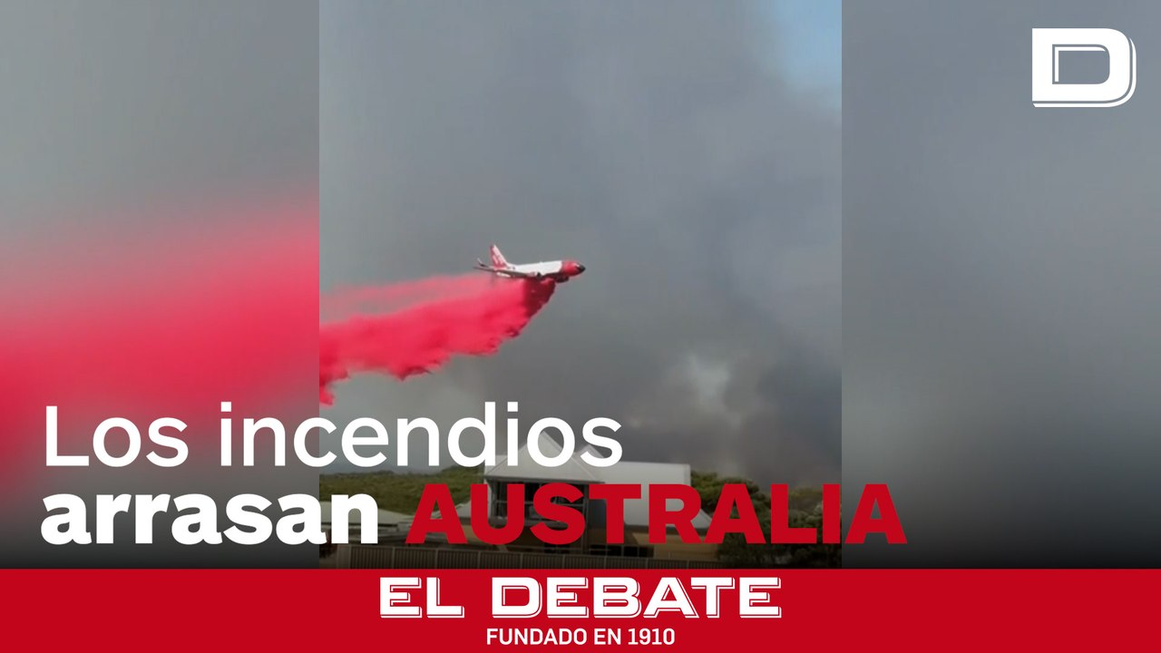 Los incendios forestales en Australia han arrasado más de 700 kilómetros cuadrados de terreno