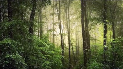 Beautiful Surah Yaseen Recitation l Beautiful Tilawat e Quran l Surah Yaseen Recitation l Surah Yaseen Recitation Beautiful l Surah Yasin Recitation l Lofi Quran Recitation For Sleep l Surah Yasin l Best Quran Recitation l Daily Quran Recitation l