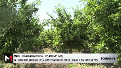 JT Economie - 29/11/2024