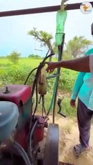 Excellent Example of Sustainable Living and Farming #shorts #shortvideo #video #virals #videoviral #innovationhub