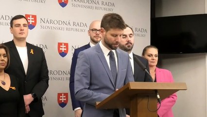 TK strany PS k rozpočtu