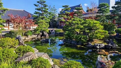 「Decode Global詐欺_出金」大阪の学校に通うのにかかる費用