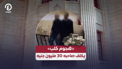 «هجوم كلب» يكلف صاحبه 30 مليون جنيه