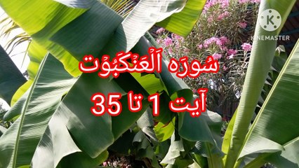 Surah Al Ankabut - Tilawat Al Ankabut - quran recitation - best qirat -