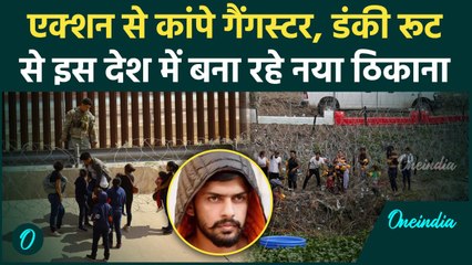 Lawrence Gang का भी बना पसंदीदा ठिकाना बना America, Donkey मारने को मजबूर | वनइंडिया हिंदी