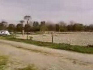 Jaslem cours trot